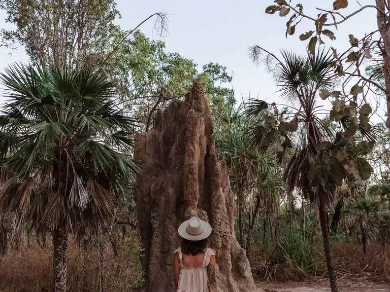 Visitor standing beside a towering Cathedral Termite Mound surrounded by native bushland in Litchfield National Park, Northern Territory.
