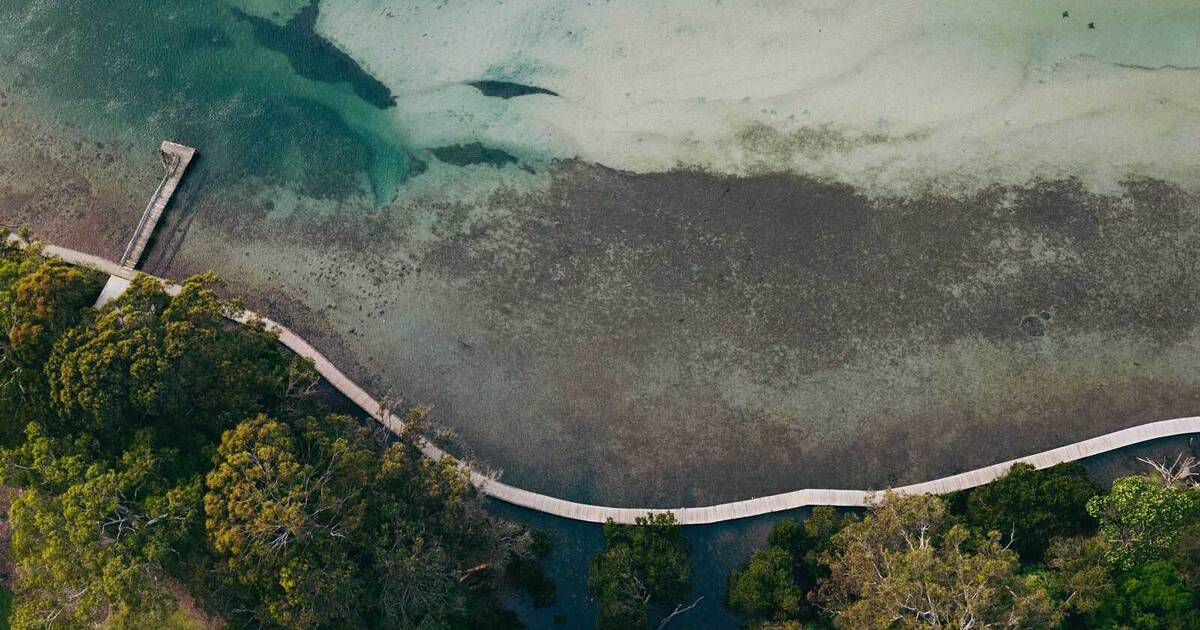 Aerial view of the Merimbula Boardwalk. The boardwalk meanders around the lake shore and through mangrove forests, under eucalyptus canopies and past pristine oyster farms.
