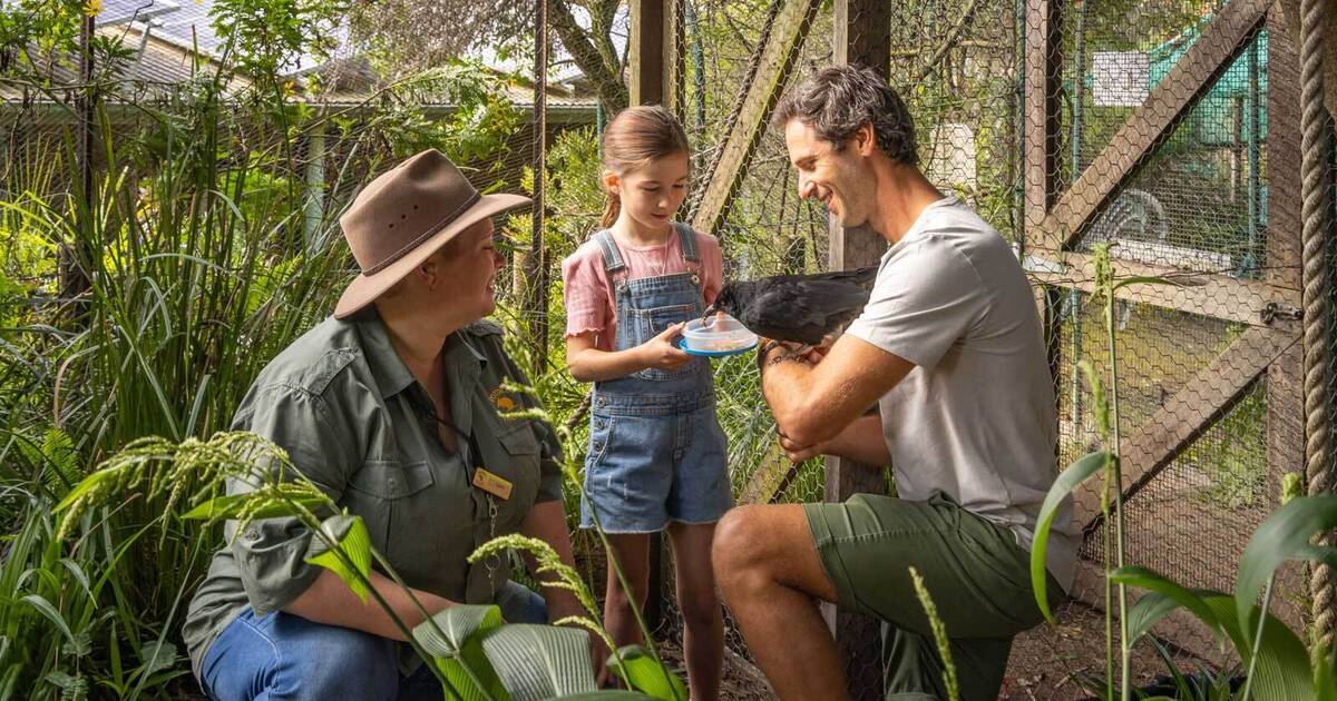 A young girl and man enjoying a hands-on bird encounter with a wildlife keeper at Potoroo Palace near Merimbula on the NSW Sapphire Coast.