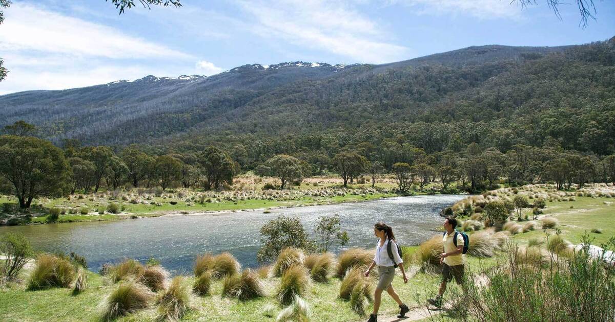 https://hampshireholidays.com.au/files/images/00-Local-Guide/Thredbo-in-summer/153081-4.jpg