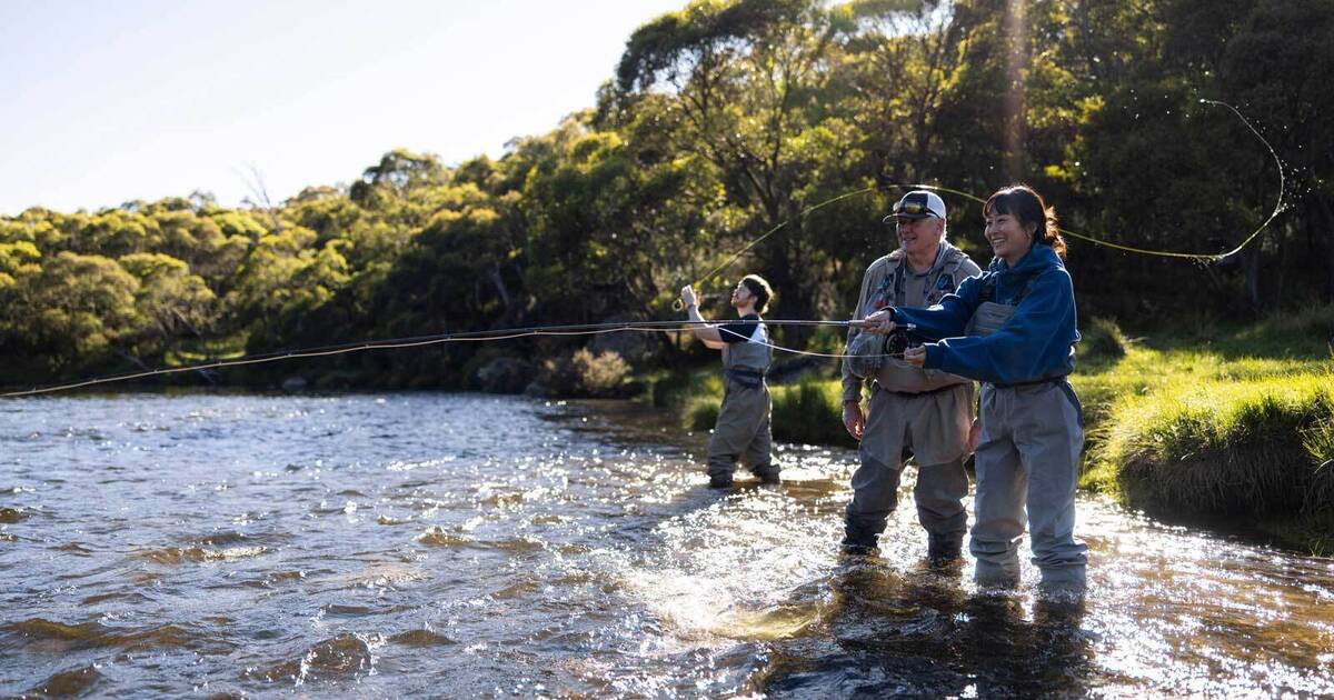 https://hampshireholidays.com.au/files/images/00-Local-Guide/Thredbo-in-summer/205503-4.jpg