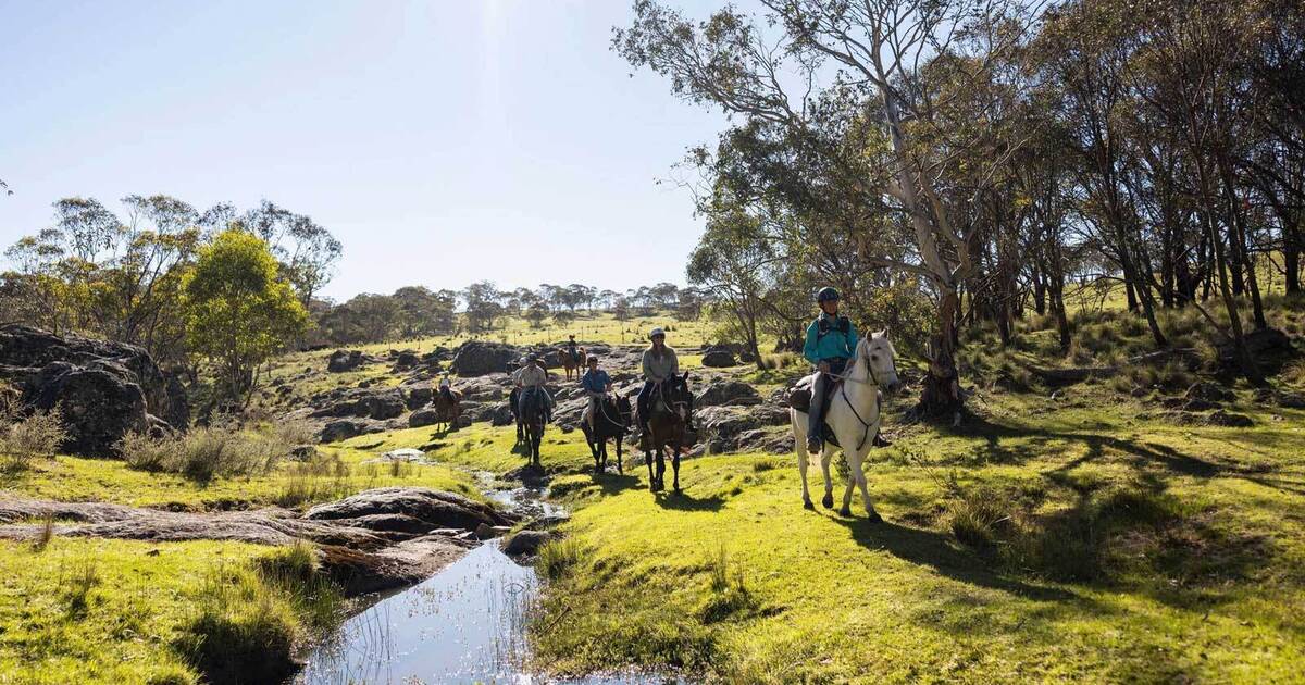 https://hampshireholidays.com.au/files/images/00-Local-Guide/Thredbo-in-summer/205539-4.jpg