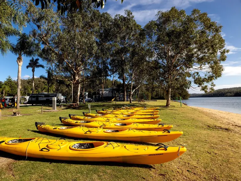 Kayaks lined up beside the Clyde River at Nelligen Holiday Park on the NSW South Coast, ready for a day on the water.