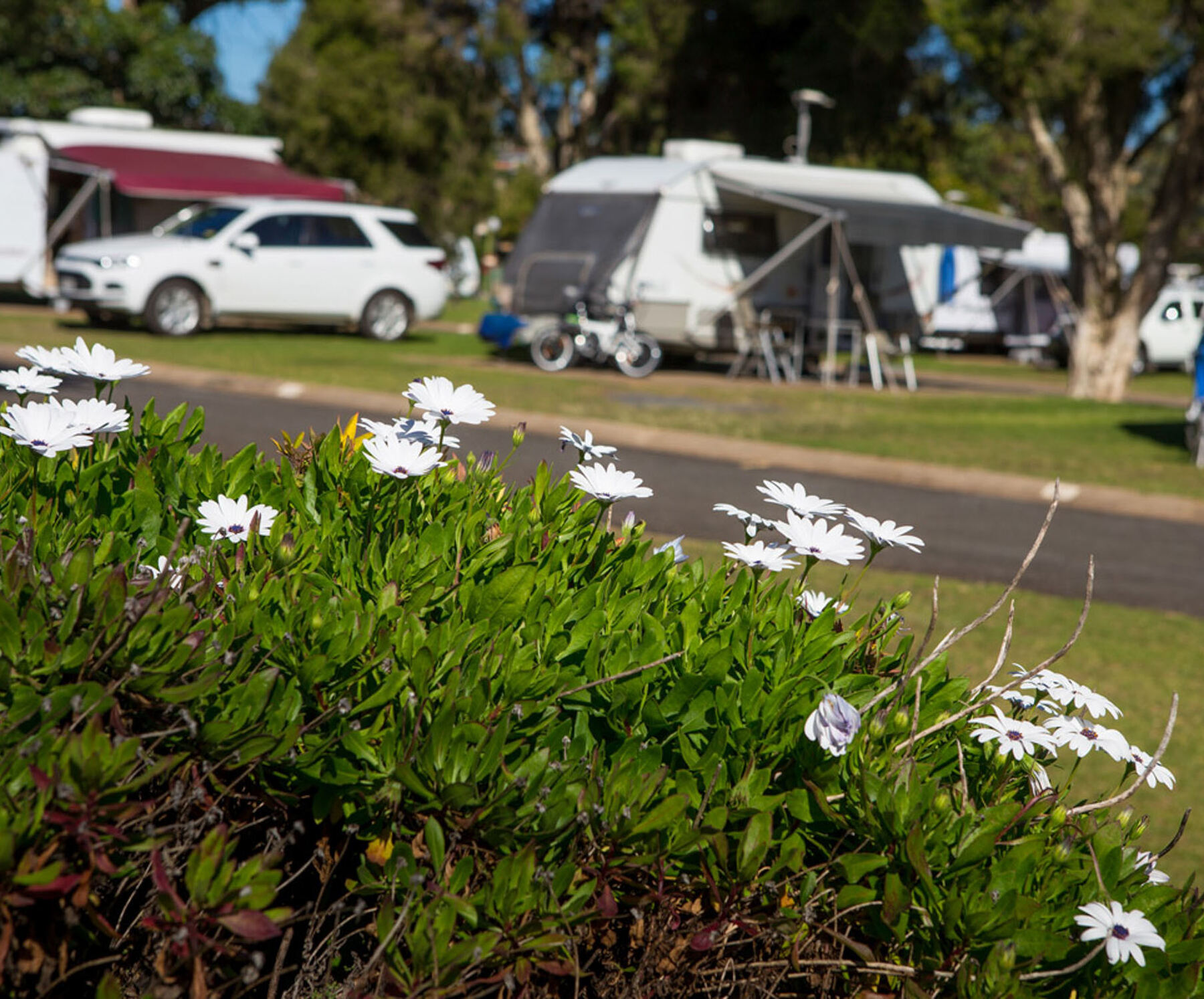 Toowoomba Caravan Park — photo 4