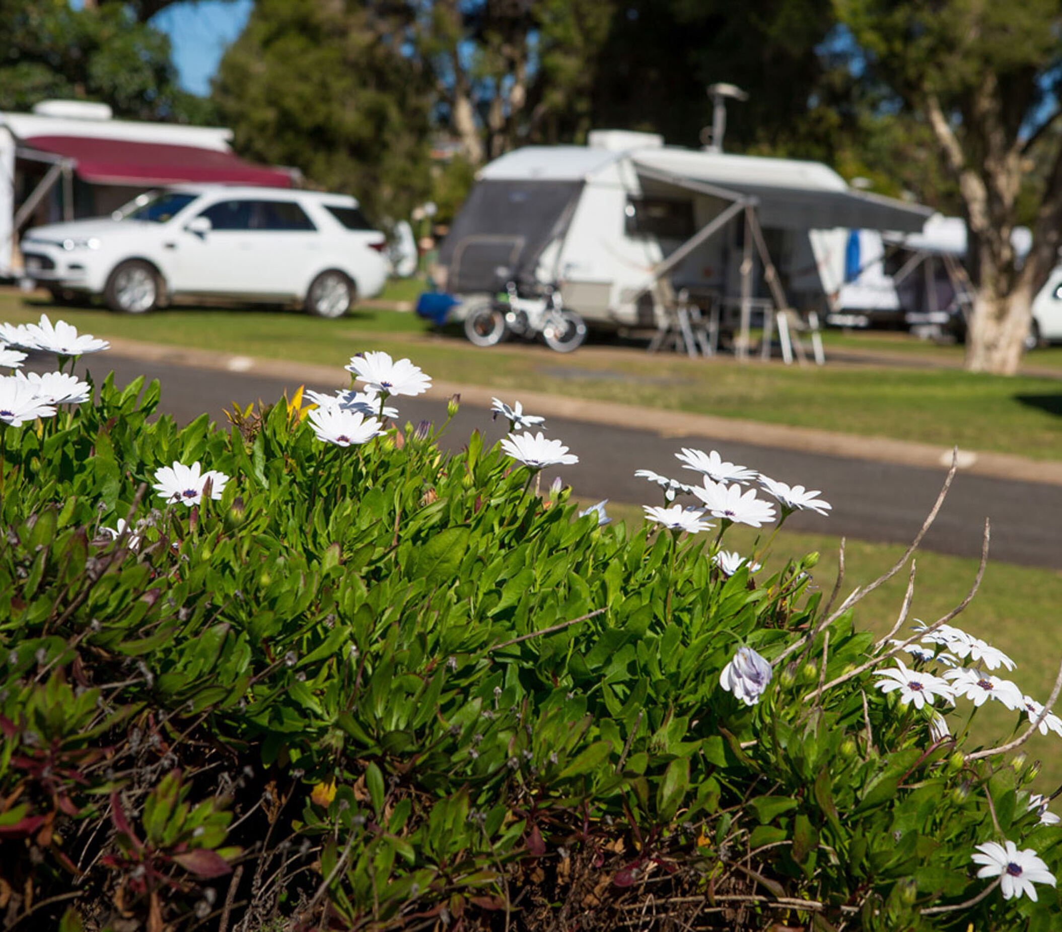 Toowoomba Caravan Park — photo 3