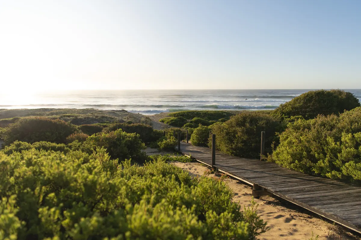 Direct beach access from Wairo Beach Holiday Park to Wairo Beach.