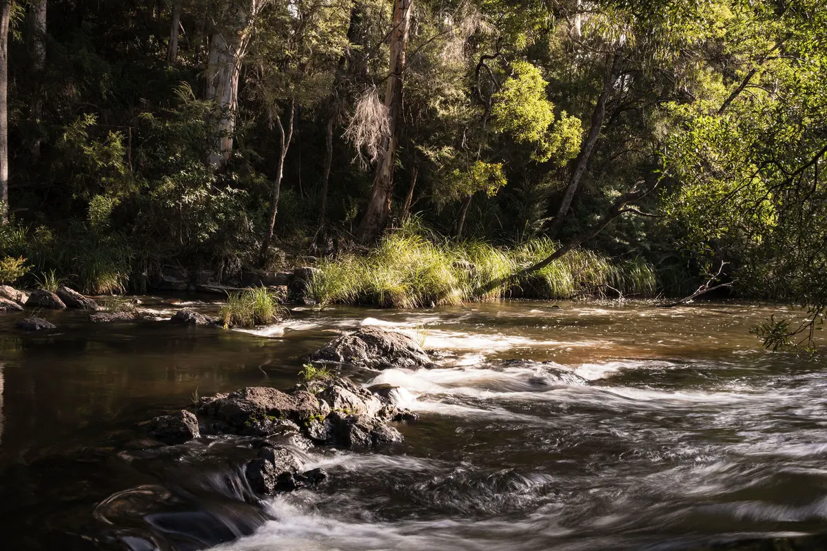 Scenic views of the Yarra River near Warburton Holiday Park.