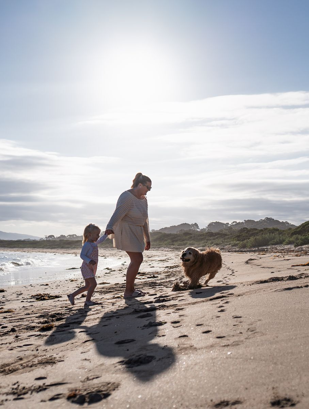 Family and dog enjoying Barlings Beach near the holiday park in Tomakin