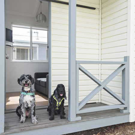 Black Dolphin Holiday Park: two dogs outside a pet-friendly cabin in Merimbula