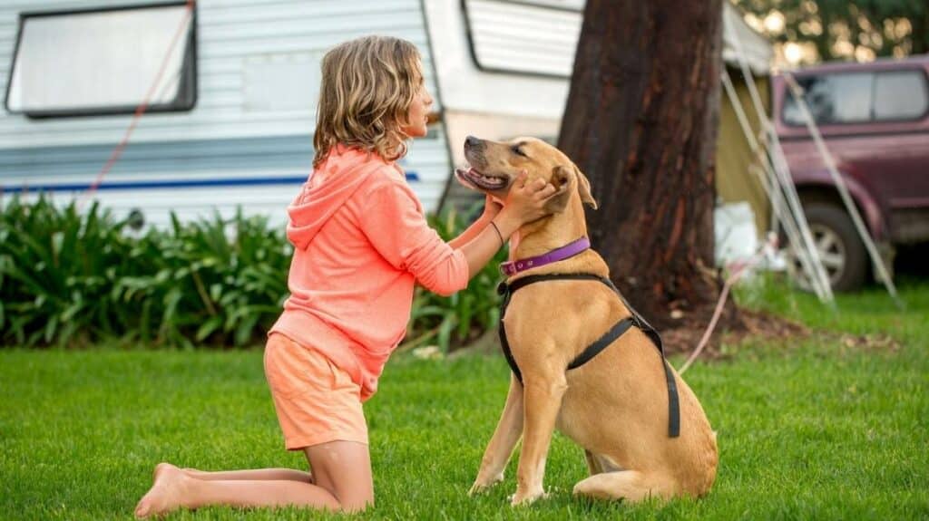 pet friendly caravan parks across Australia - looking for a holiday park where you can bring your dog? this image shows a young girl with a small dog playing at a dog friendly caravan park