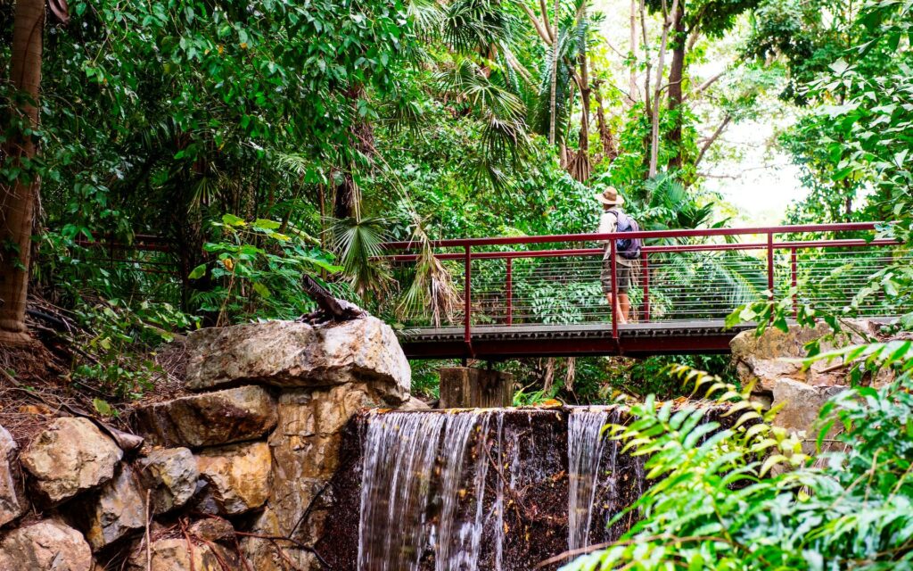 A scenic view of George Brown Botanic Gardens in Northern Territory, Australia. The image shows a wooden bridge crossing a small creek surrounded by lush greenery and trees. The botanical garden is an ideal spot for camping, hiking, and outdoor adventures.